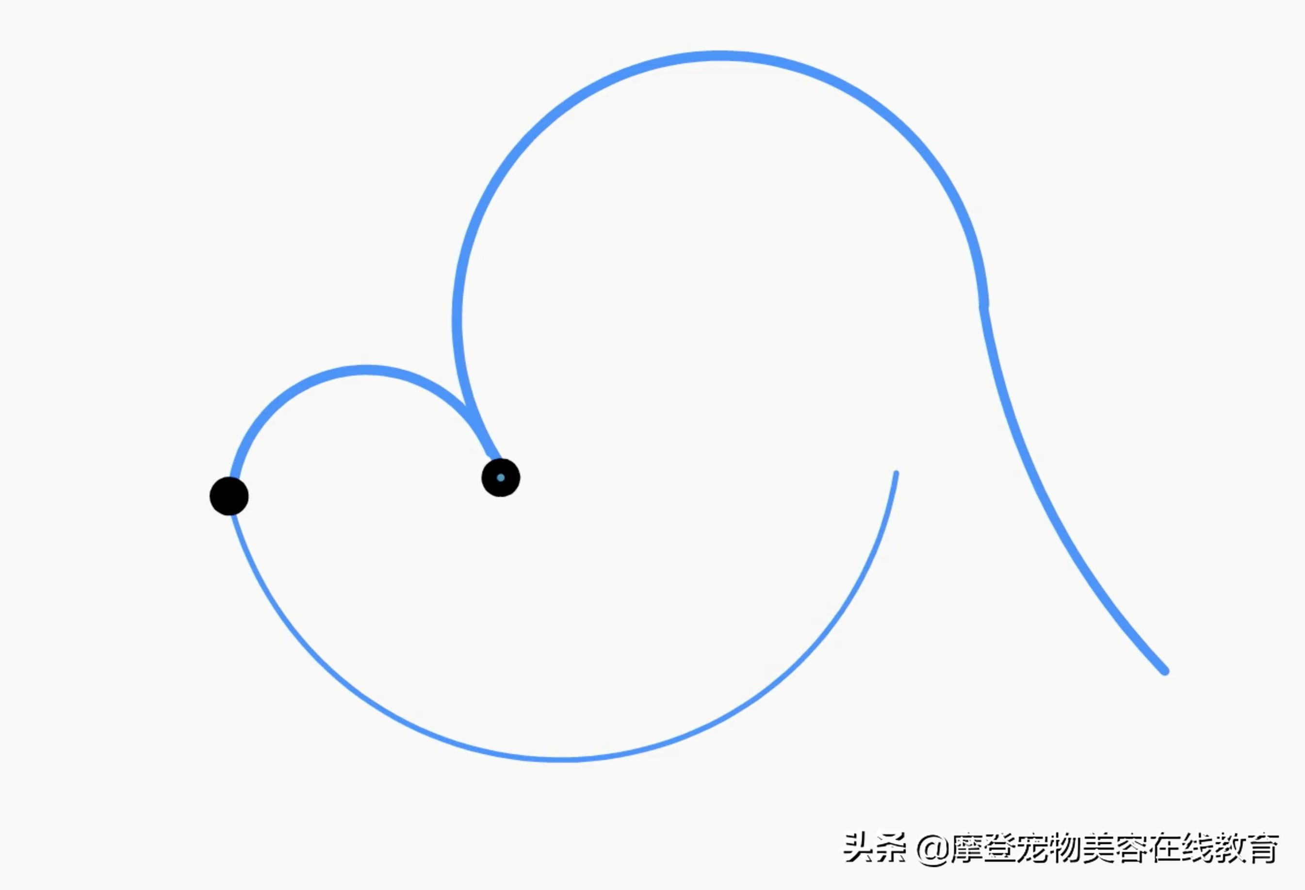 比熊宠物怎么剪毛视频教程,比熊犬剪毛视频教程