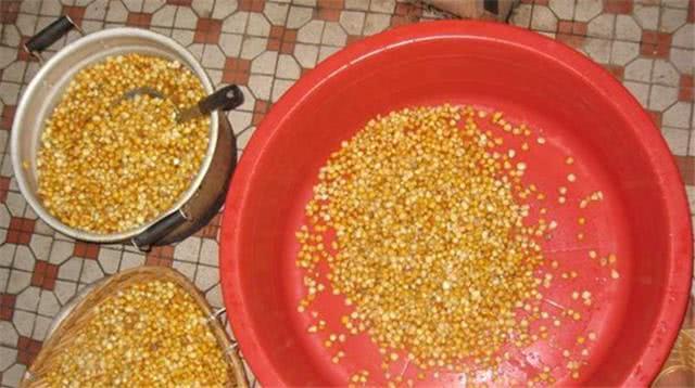 水库钓鱼怎样挂钓饵玉米粒,自制水库野钓玉米粒鱼饵