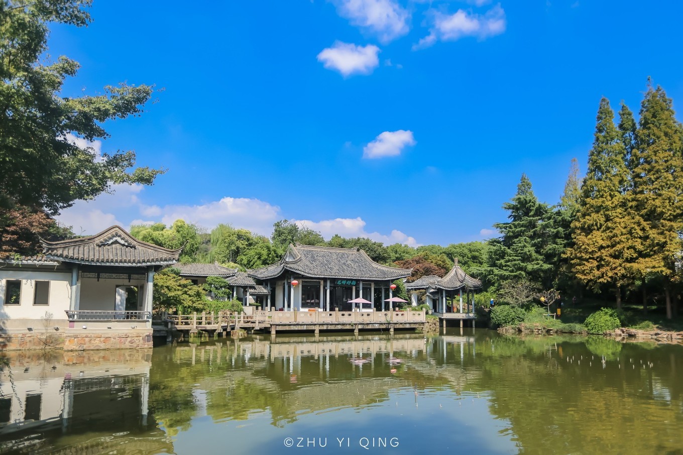 无锡梅园不只能赏梅，初秋近万亩百合花海盛放，小姐姐直呼太美了