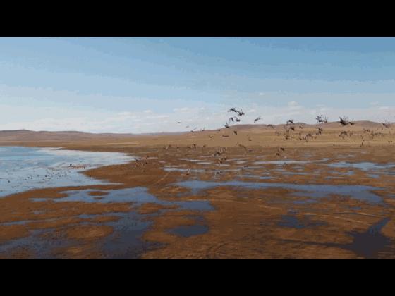 锡林郭勒超全游玩攻略，随便挑一个，就能放肆嗨啦（含线路地图）