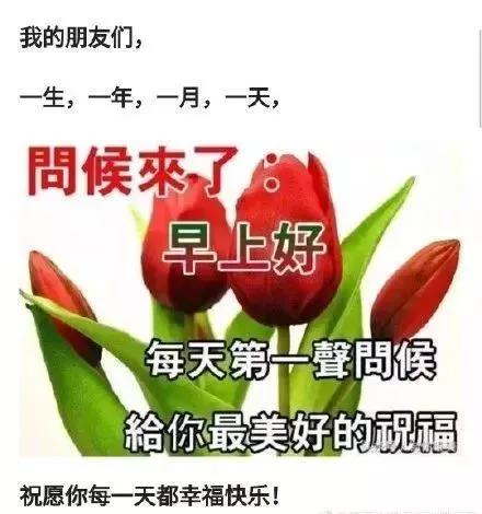 人就像一根弦绷太紧会断,人生就像一根弦