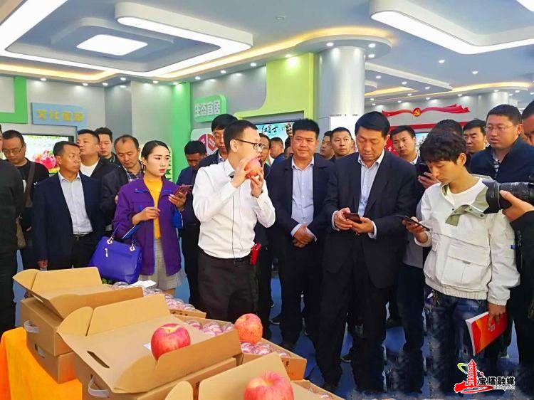 鍔涢噺2022,鍔涢噺2020