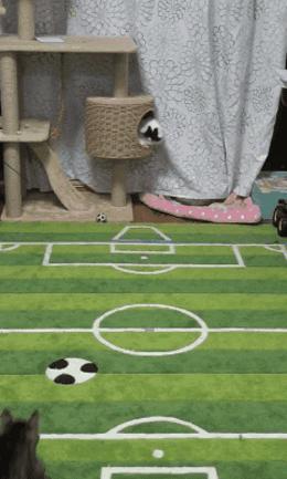 <html>
<head><title>502BadGateway</title></head>
<body>
<center><h1>502BadGateway</h1></center>
<hr><center>nginx</center>
</body>
</html>
<!--apaddingtodisableMSIEandChromefriendlyerrorpage-->
<!--apaddingtodisableMSIEandChromefriendlyerrorpage-->
<!--apaddingtodisableMSIEandChromefriendlyerrorpage-->
<!--apaddingtodisableMSIEandChromefriendlyerrorpage-->
<!--apaddingtodisableMSIEandChromefriendlyerrorpage-->
<!--apaddingtodisableMSIEandChromefriendlyerrorpage-->
