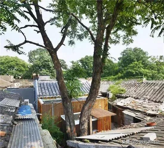 北京人真实生活视频,北京人二环的真实生活