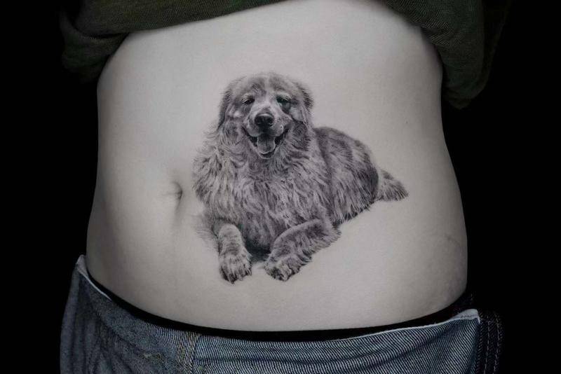 和宠物告别,和宠物告别嚎啕大哭