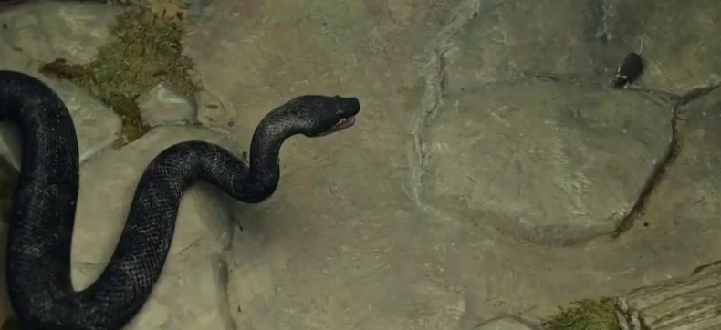 韩国又添爆款神剧,韩国近年爆火电视剧