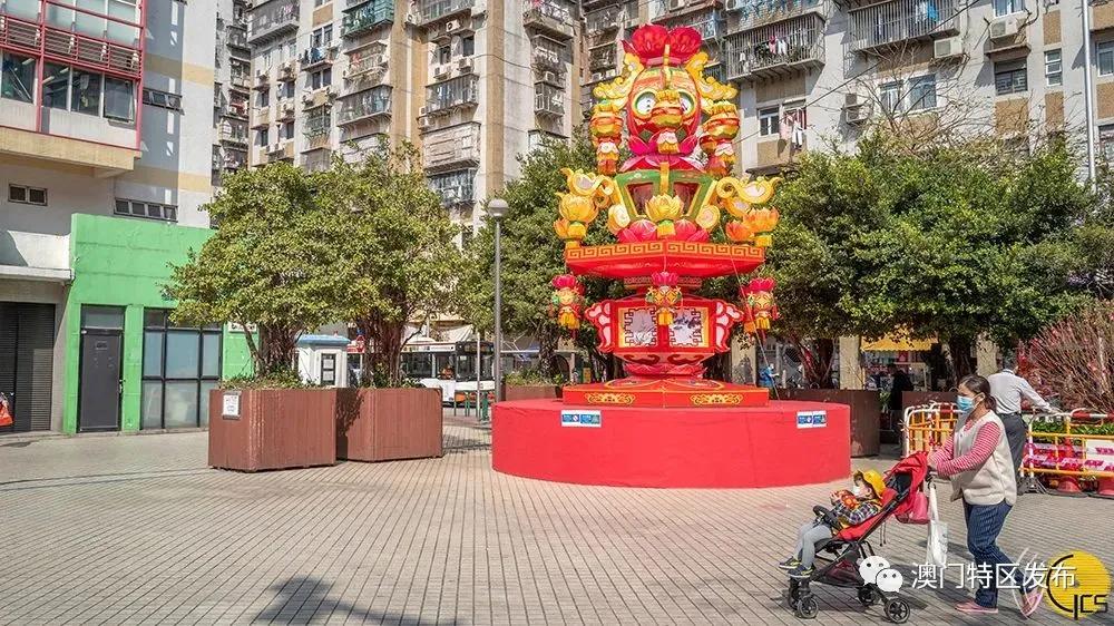 澳门美图欣赏,澳门春日赏花美图