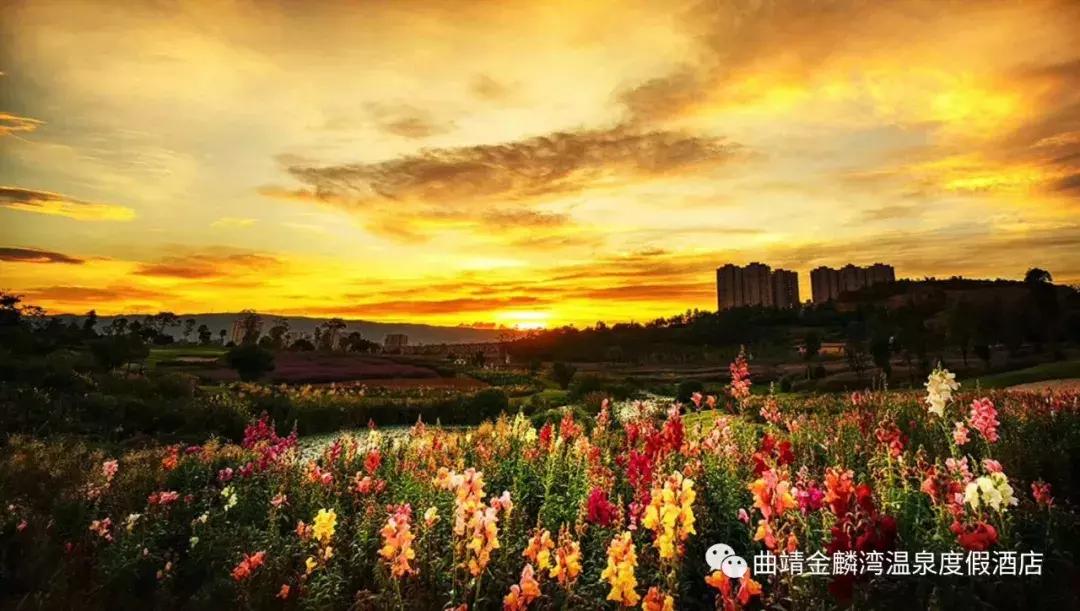 曲靖金麟湾温泉度假酒店别墅,曲靖金麟湾温泉酒店电话