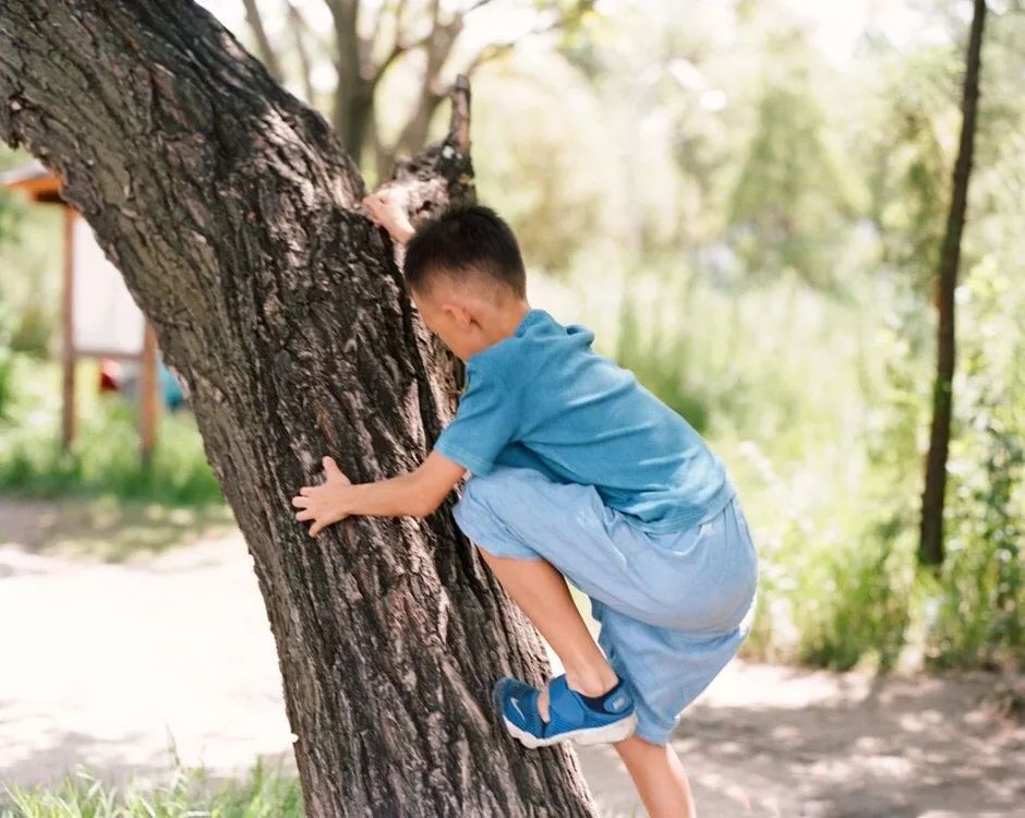 租下城郊200㎡小院，和陌生人一起生活5年：唱歌、染布、盖树屋