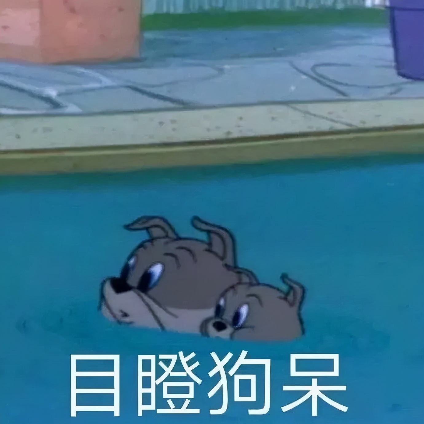 燃烧脂肪的时候会嘴臭吗,脂肪燃烧的表现减肥人士必须了解