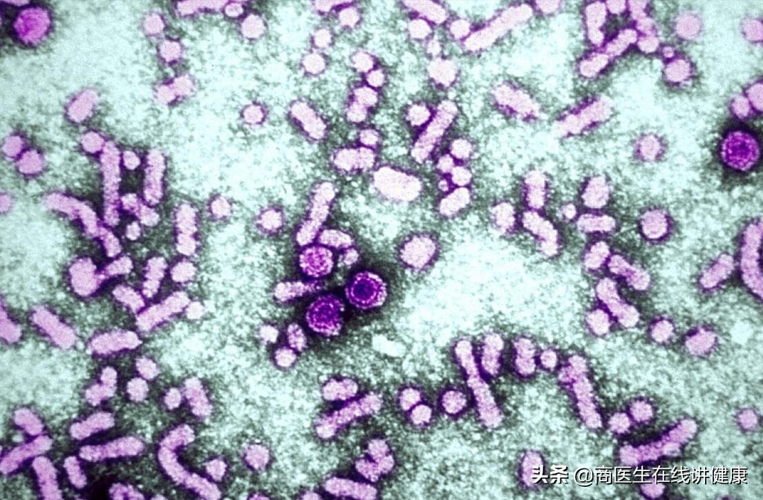 乙肝新药艾米替诺,乙肝新药艾米替诺福韦什么时候吃