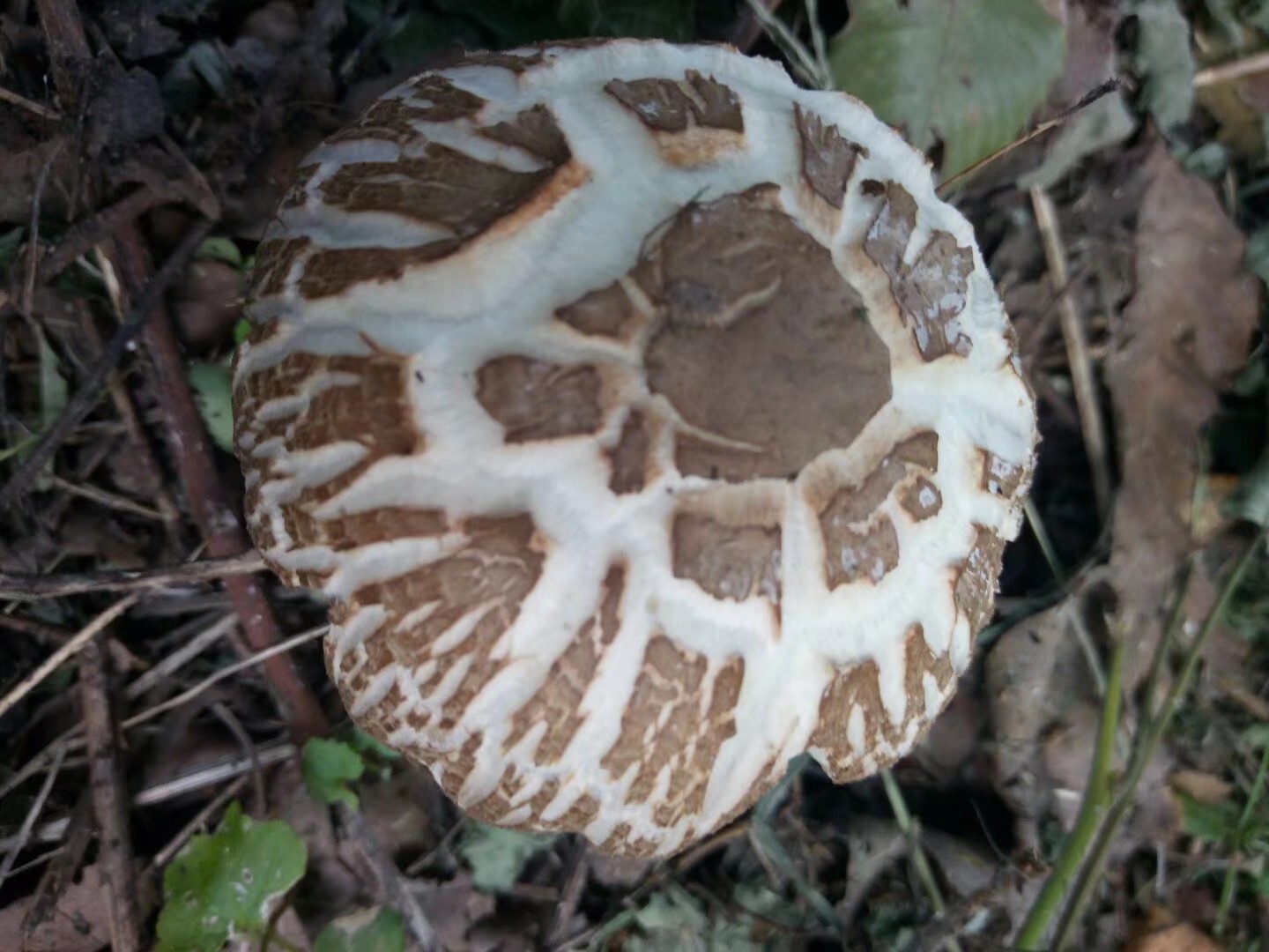 旅游备忘录在哪,旅游备忘录