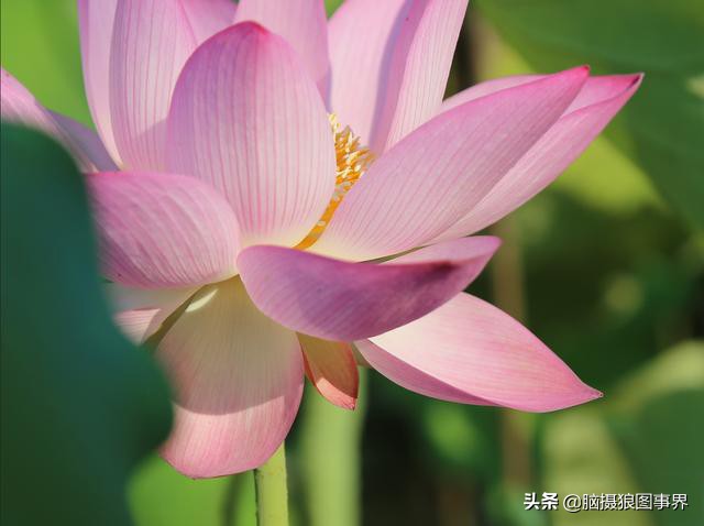 怎样用ps调好照片画质,ps调整对比度快捷键