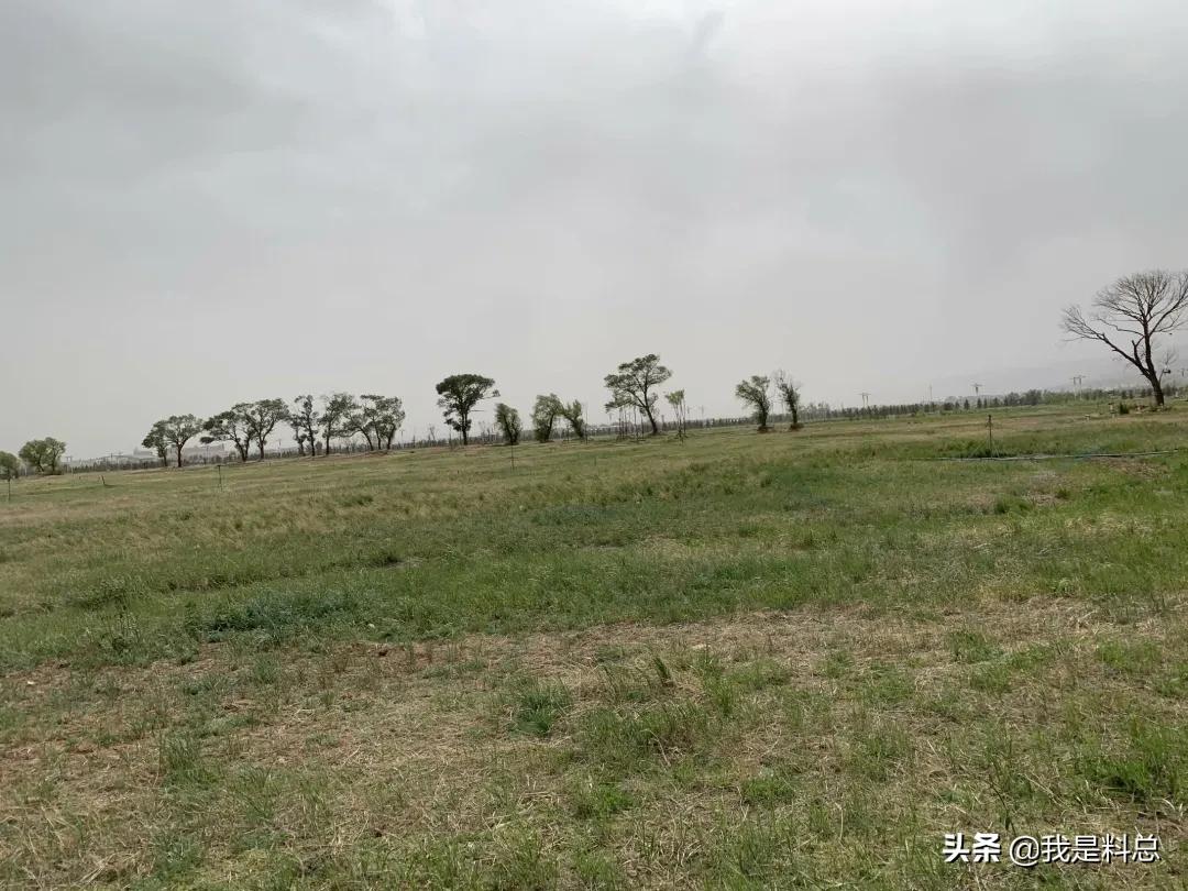 呼和浩特星期六出去玩的攻略,冬天去呼和浩特两日游