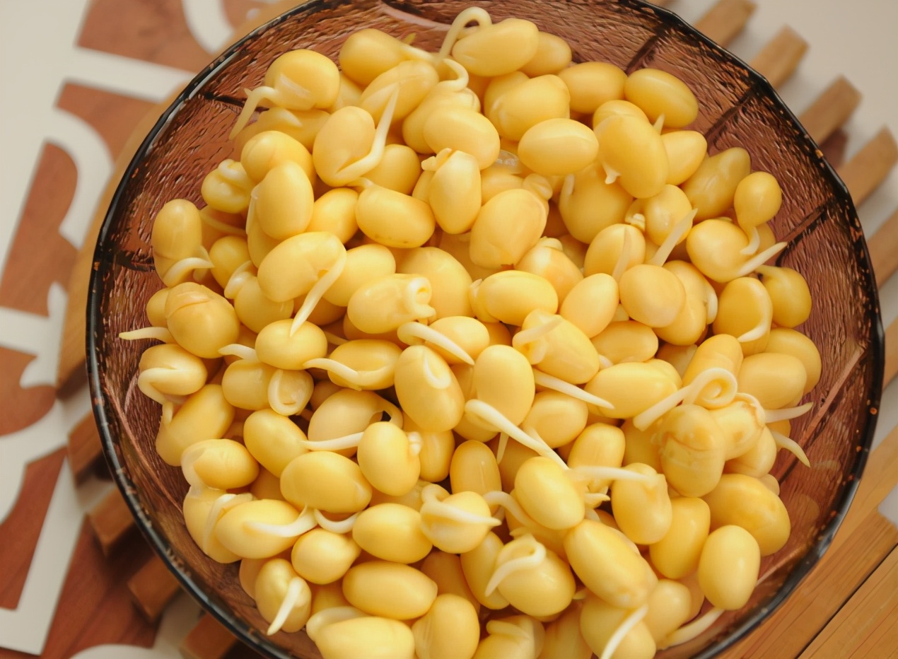 学会这个方法再也不用买豆芽了,豆芽不用买用塑料瓶就能发豆芽