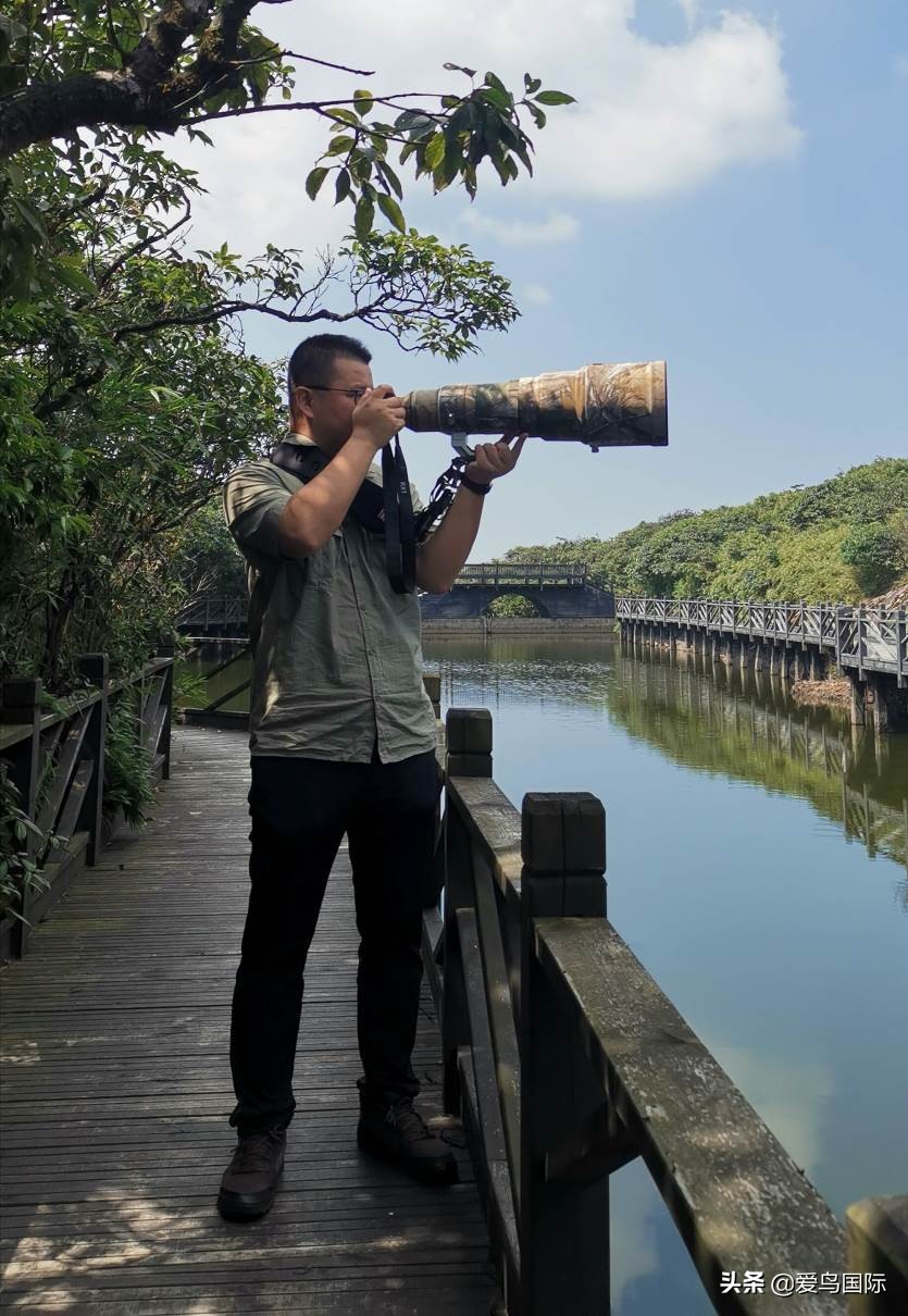 索尼selp1670镜头评测,索尼alpha9镜头