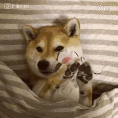 最近很火的网红面膜好用吗,内行人眼中的网红面膜