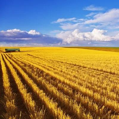 海苔饼干儿童健康零食,儿童海苔零食推荐网红零食