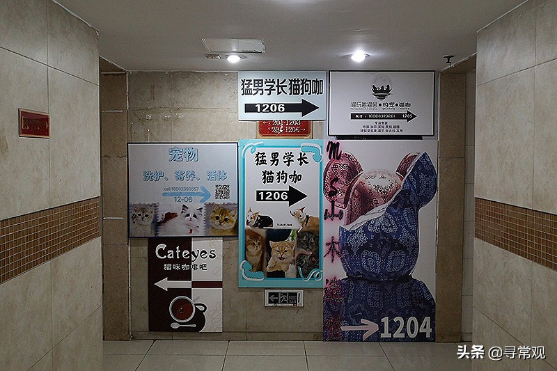 重庆魔楼红鼎,重庆魔幻楼红鼎国际