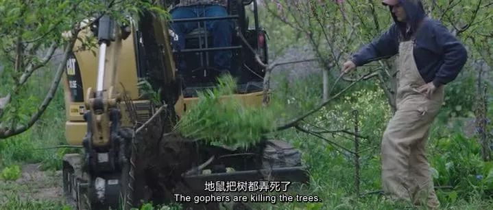 豆瓣9.3分这对夫妻打造1200亩生态农场，“堪称美版「李子柒」”