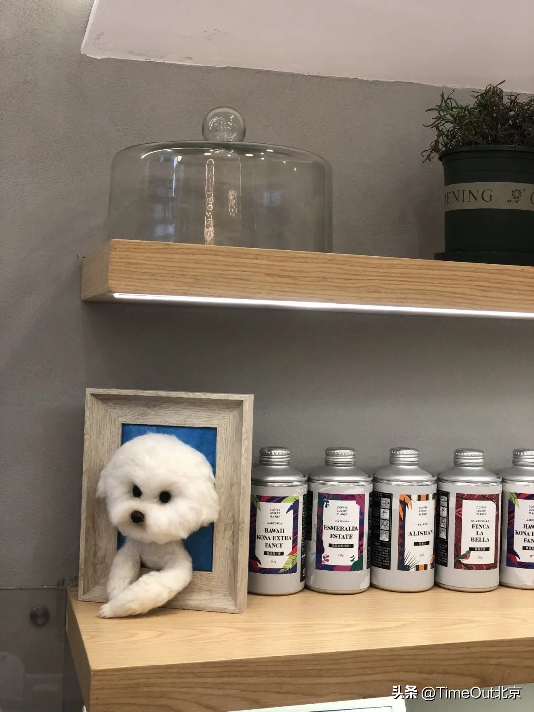 北京值得一去的面包店推荐,好吃平价的面包店推荐