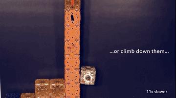 MIT的「方块」成精了:蹦跳自旋后空翻,还能自己组队的「*子骰**」