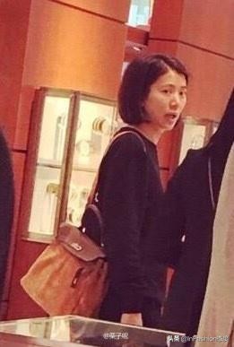 袁咏仪有哪些爱马仕鳄鱼皮包包,袁咏仪爱马仕同款