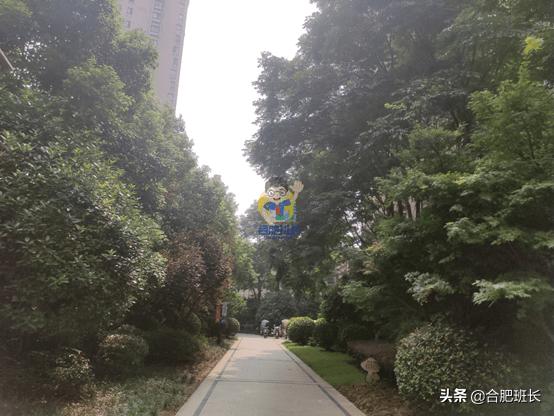 乐富强御龙湾最新价格,乐富强御龙湾景观房