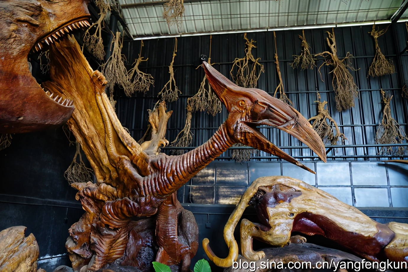 世界上最大的蜗牛介绍,全世界最大的蜗牛