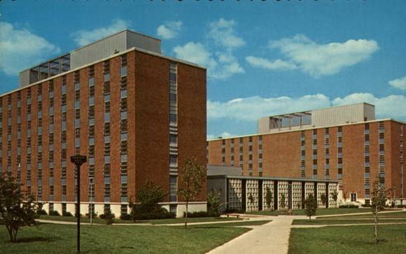 普渡大学西拉法叶校区,普渡大学西拉法叶校区中国人多吗