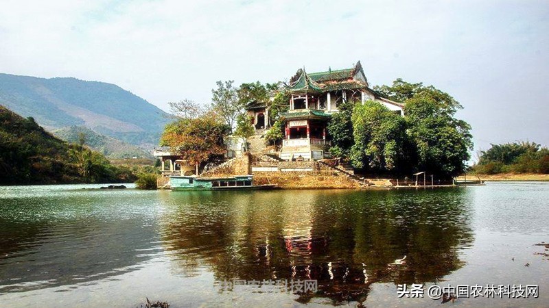 神秘幽静大桂山国家森林公园！一县一品，广西八步农特产品红瓜子