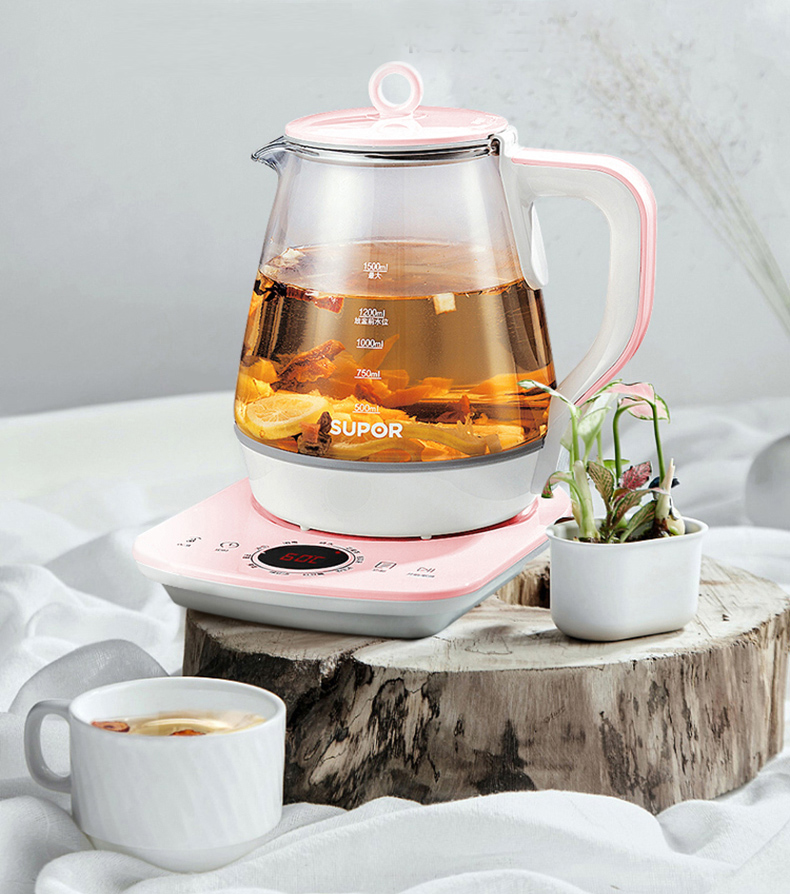 最值得推荐的养生壶,十大公认最好的养生壶测评