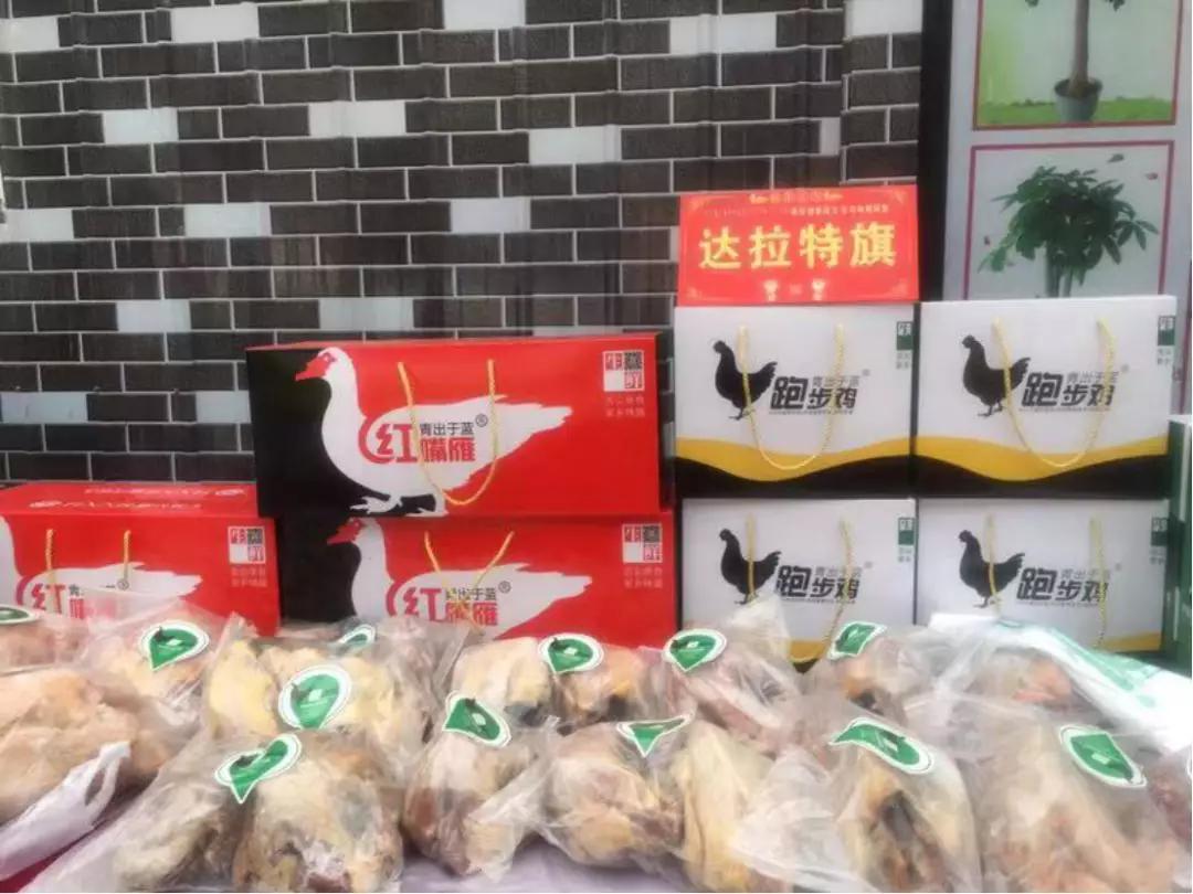 年货省心节,鄂尔多斯农产品年货节