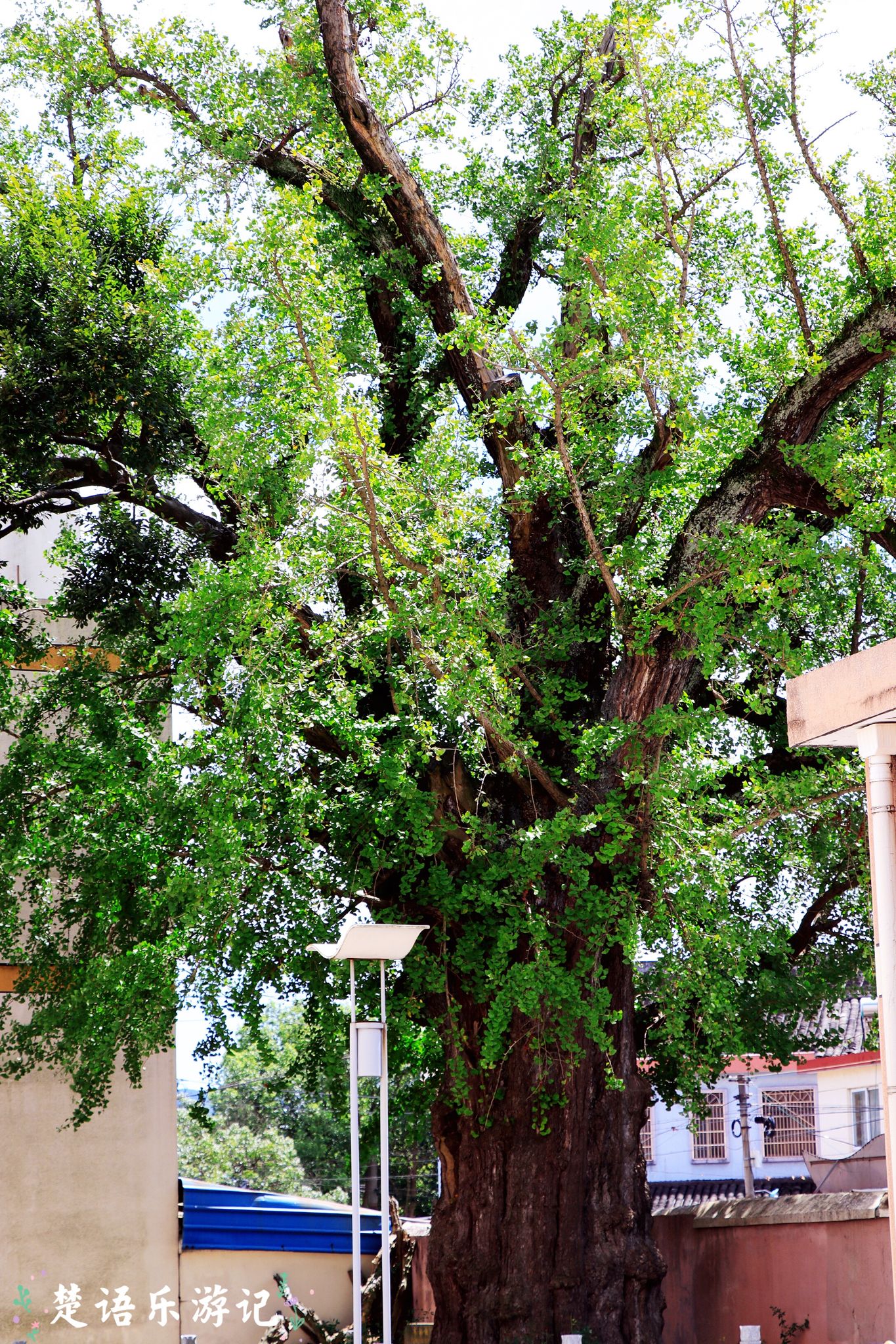 宁波太白山麓东吴镇，《大江大河2》的取景地，竟藏着几十处风景