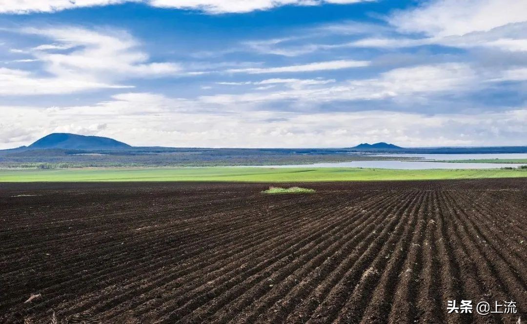 东北菜只有在东北才分量大,东北菜才是分子料理的祖宗