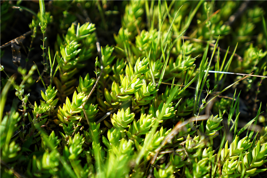宿州天下第一石城奇石,宿州这座山真奇特