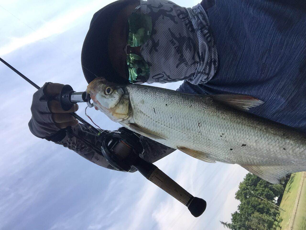 新手玩路亚应该选什么水层对象鱼,玩路亚怎么确定水库有目标鱼