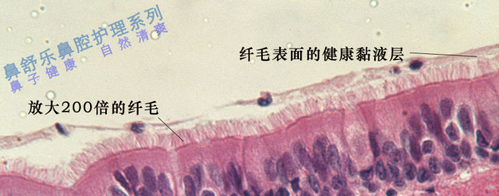 路边的鼻炎馆靠谱吗,路边的鼻炎馆怎么那么贵