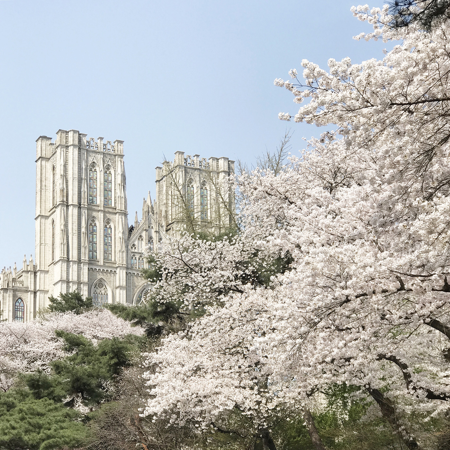 韩国gsis专业好考吗,无基础学韩语软件