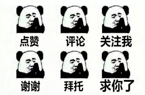 治疗猪便秘最快的方法,治疗猪便秘最好的方法