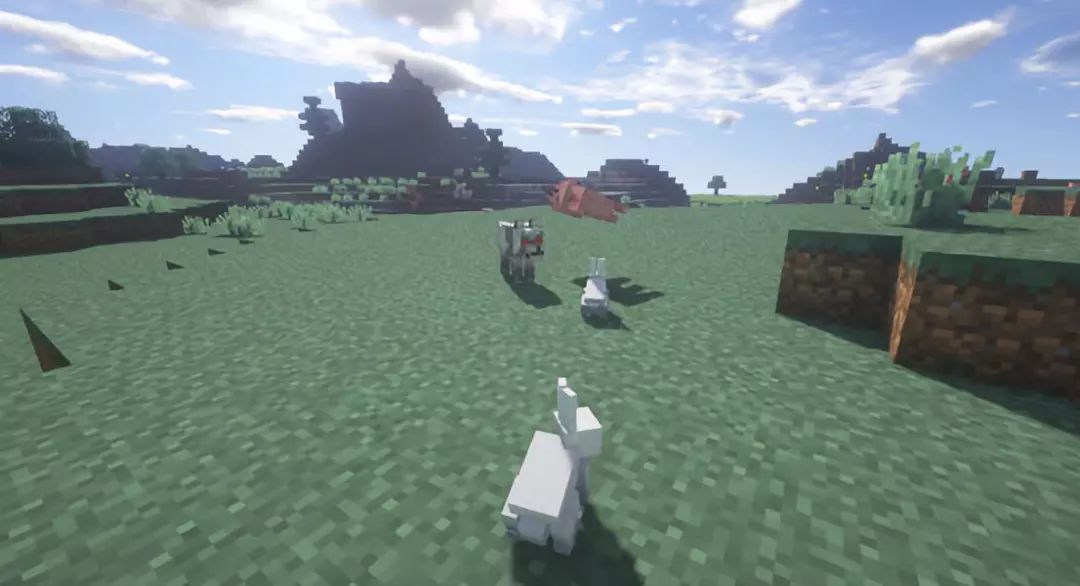 我的世界隐藏的12个秘密生物,我的世界4个隐藏物品