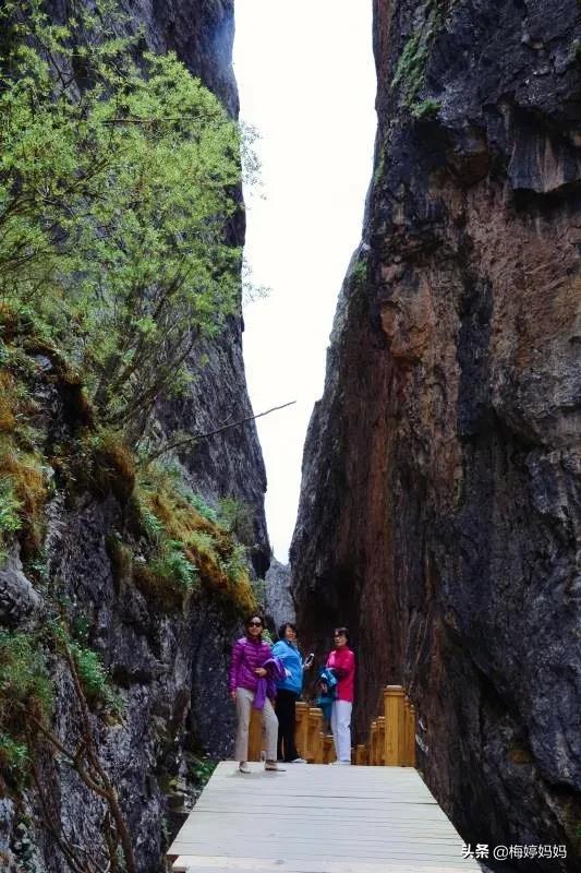 去甘南则岔石林,甘南省则岔石林