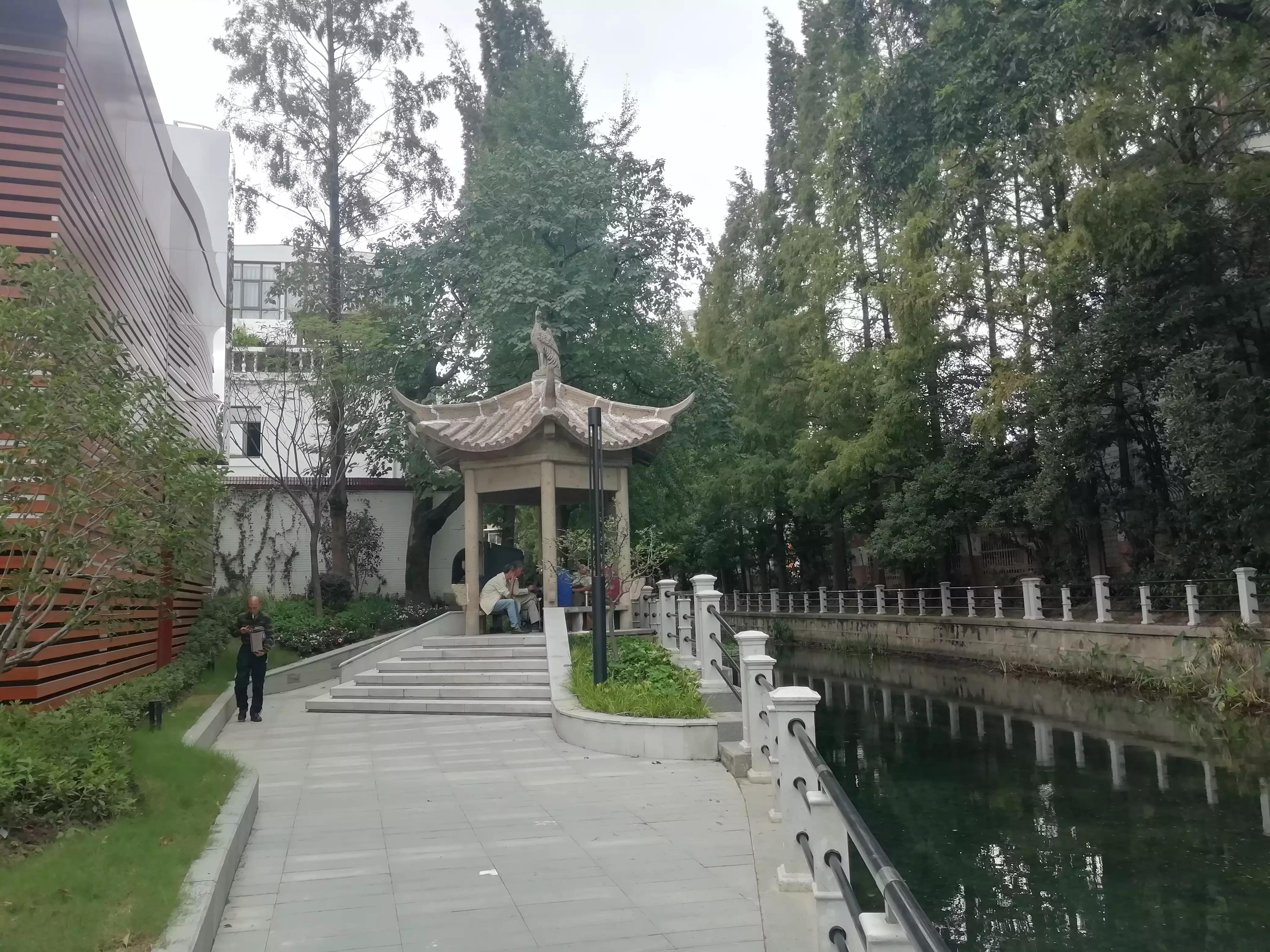 此劳模新村何以植物命名马路，以至美得像江南园林？