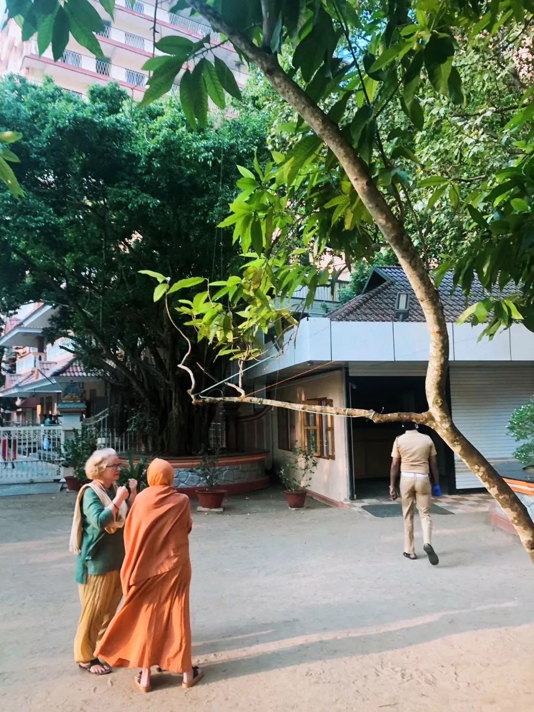 我在印度练瑜伽的感受,我在印度