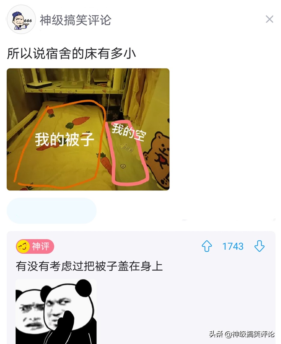 平胸怎么补救搞笑,胸平的搞笑神评