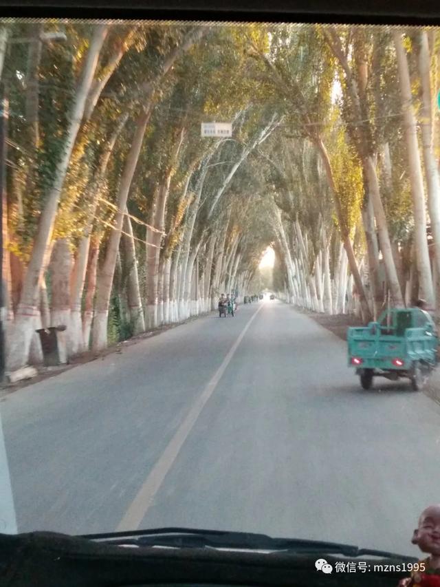 去库木塔格沙漠的感受,去新疆库木塔格沙漠最佳时间