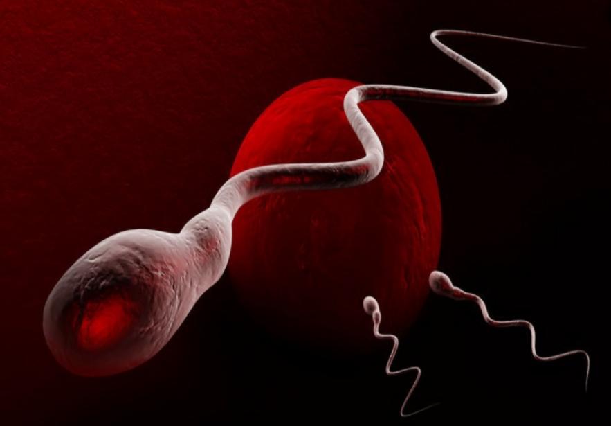 生命是怎么生出来的,生命是怎么繁衍的