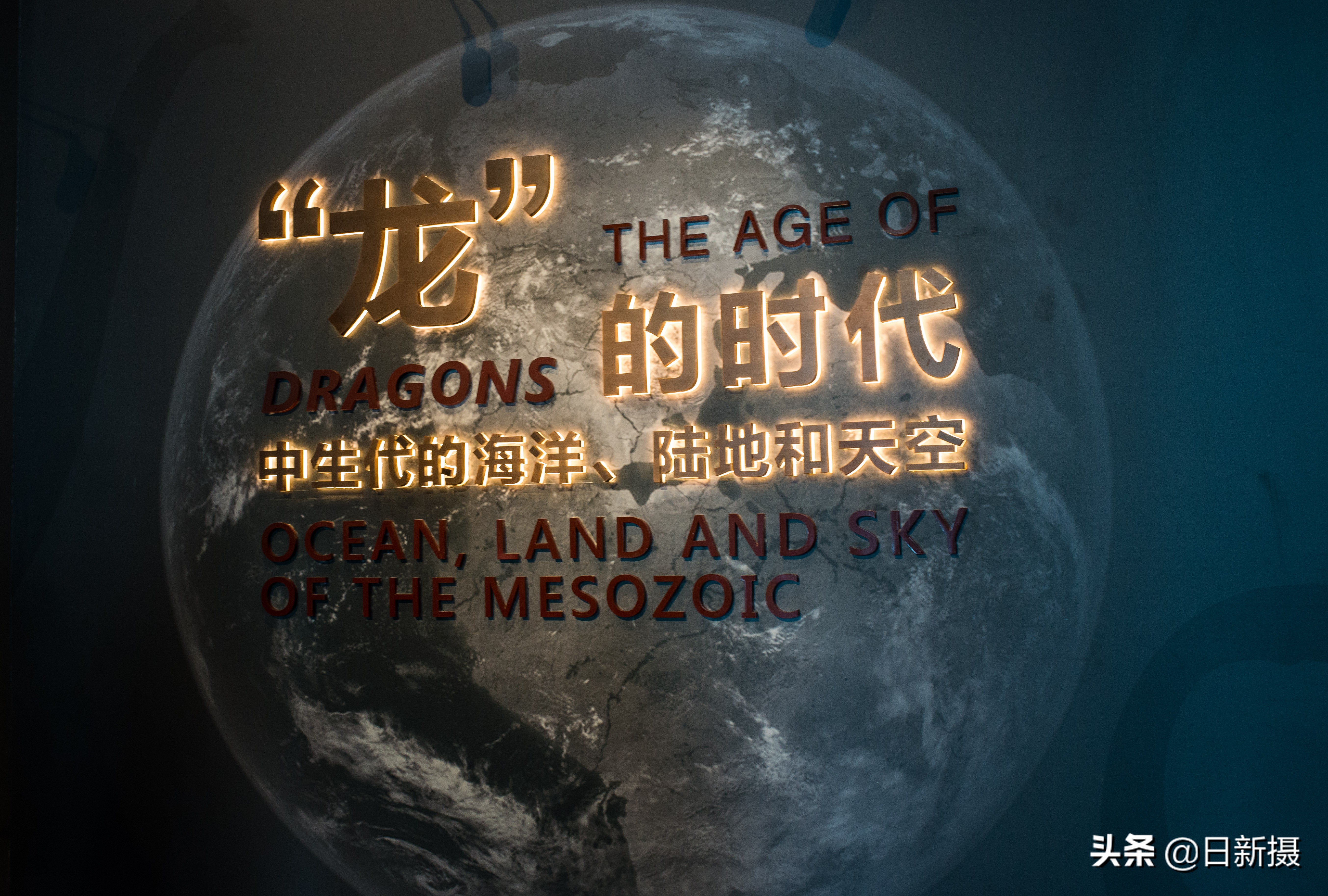 国家海洋博物馆之行,国家海洋博物馆蓝色海洋体验馆