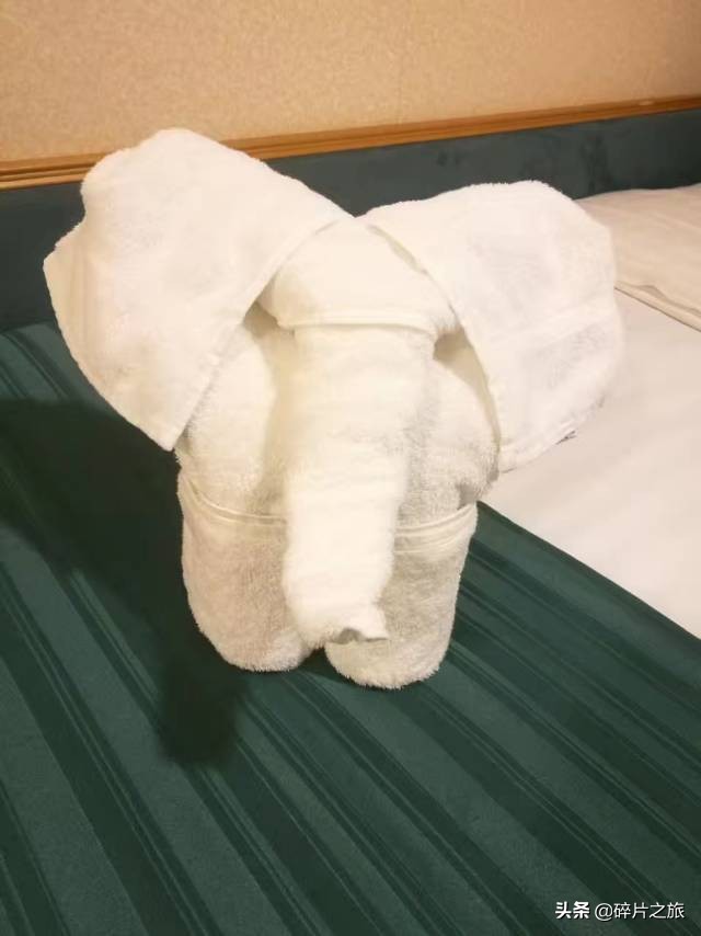 豪华游轮日本游旅游攻略,特价日本豪华游轮旅游攻略