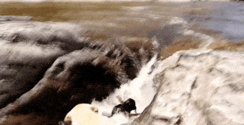 搞笑动图gif女司机,搞笑动图gif微信表情包